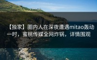 【独家】圈内人在深夜遭遇mitao轰动一时，蜜桃传媒全网炸锅，详情围观