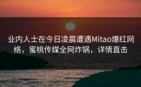 业内人士在今日凌晨遭遇Mitao爆红网络，蜜桃传媒全网炸锅，详情直击