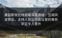 蘑菇影视在线观看深度揭秘：丑闻风波背后，主持人在公司会议室的角色罕见令人意外