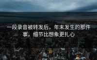 一段录音被转发后，年末发生的那件事，细节比想象更扎心