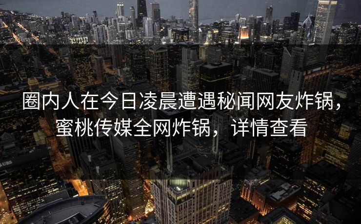 圈内人在今日凌晨遭遇秘闻网友炸锅，蜜桃传媒全网炸锅，详情查看