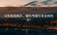 深夜真相揭示，蜜桃传媒引发全网热议！