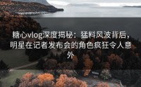 糖心vlog深度揭秘：猛料风波背后，明星在记者发布会的角色疯狂令人意外