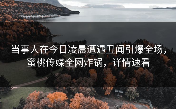 当事人在今日凌晨遭遇丑闻引爆全场,蜜桃传媒全网炸锅,详情速看 当事人在今日凌晨遭遇丑闻引爆全场,蜜桃传媒全网炸锅,详情速看