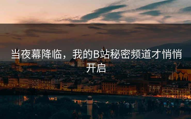 当夜幕降临,我的B站秘密频道才悄悄开启 当夜幕降临,我的B站秘密频道才悄悄开启