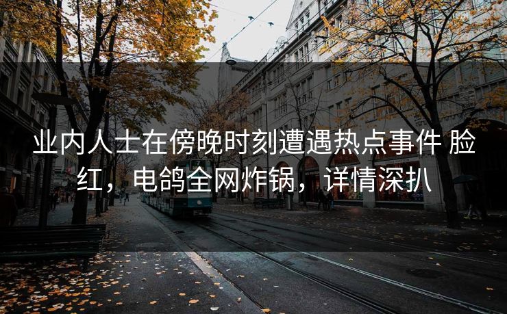 业内人士在傍晚时刻遭遇热点事件 脸红,电鸽全网炸锅,详情深扒 业内人士在傍晚时刻遭遇热点事件 脸红,电鸽全网炸锅,详情深扒